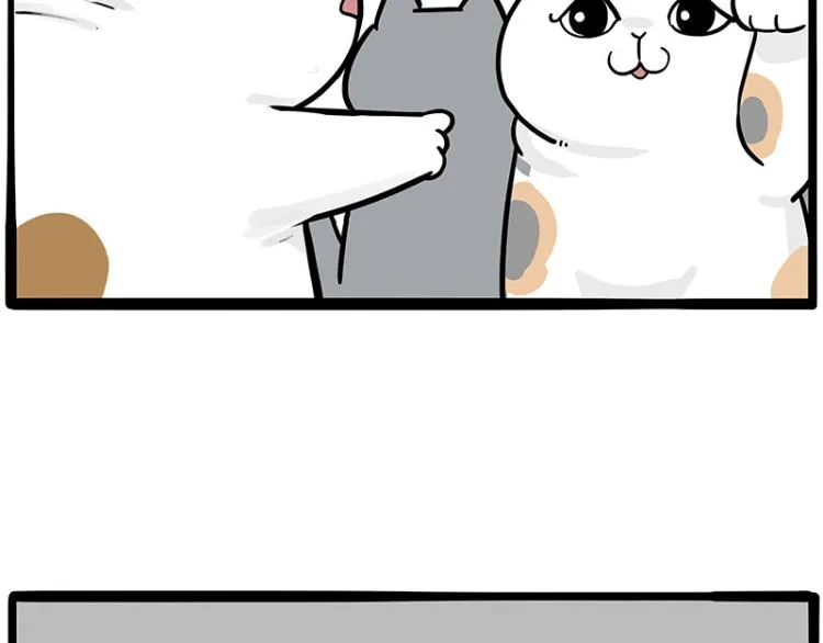 第290话 凶恶猫猫组织 第42页
