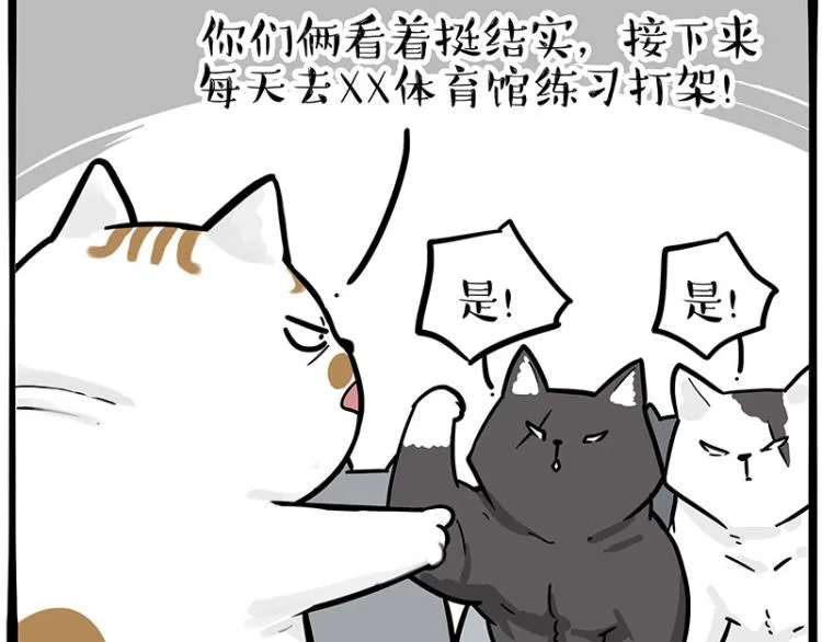 第290话 凶恶猫猫组织 第43页