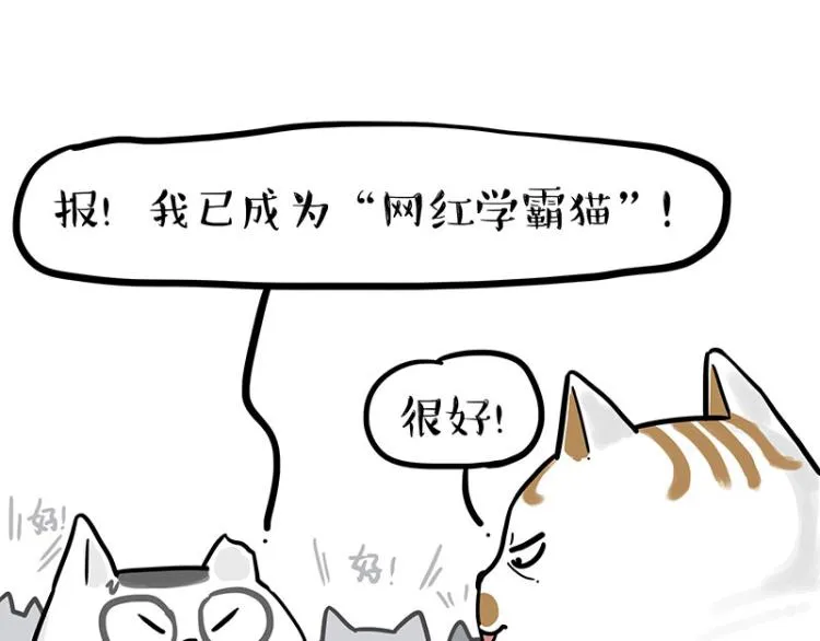 第290话 凶恶猫猫组织 第45页