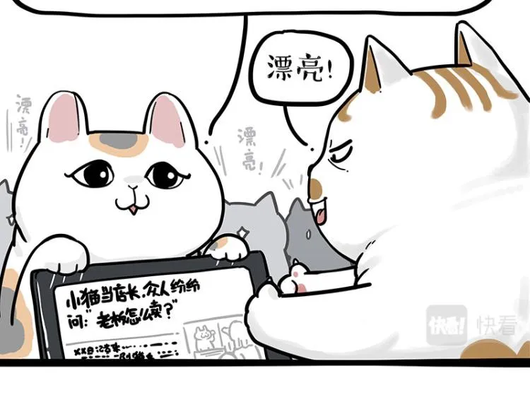 第290话 凶恶猫猫组织 第47页