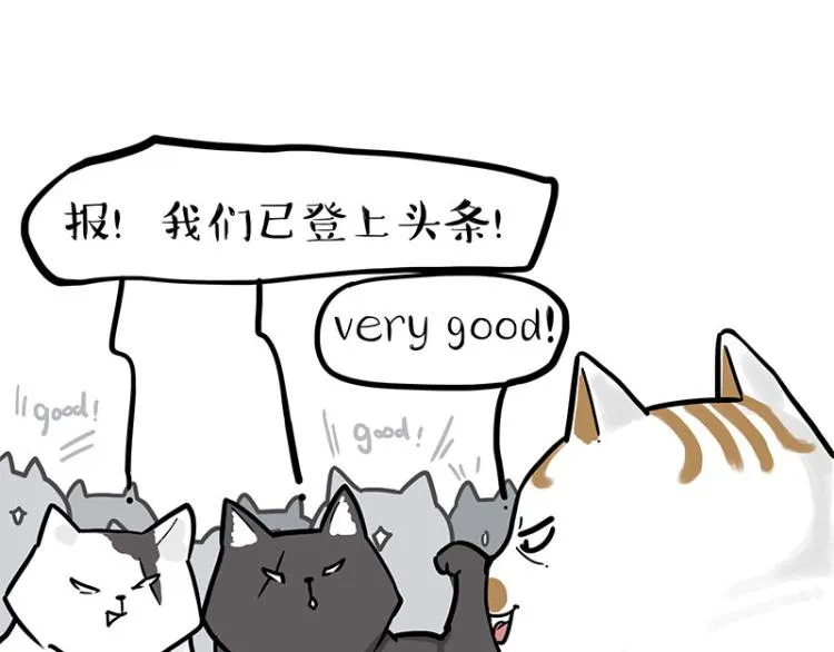 第290话 凶恶猫猫组织 第49页