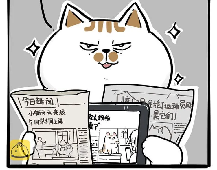第290话 凶恶猫猫组织 第51页