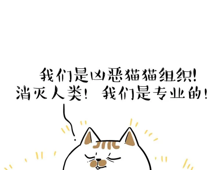 第290话 凶恶猫猫组织 第52页