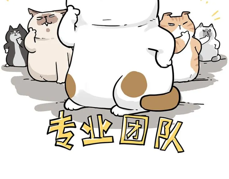 第290话 凶恶猫猫组织 第53页