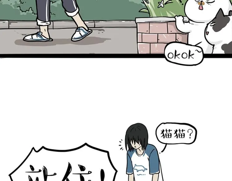 第290话 凶恶猫猫组织 第55页