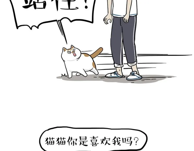 第290话 凶恶猫猫组织 第56页