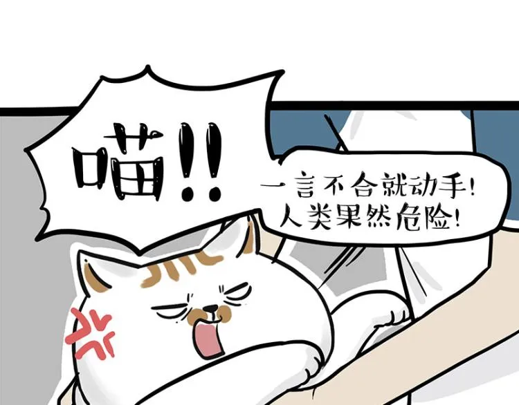 第290话 凶恶猫猫组织 第58页