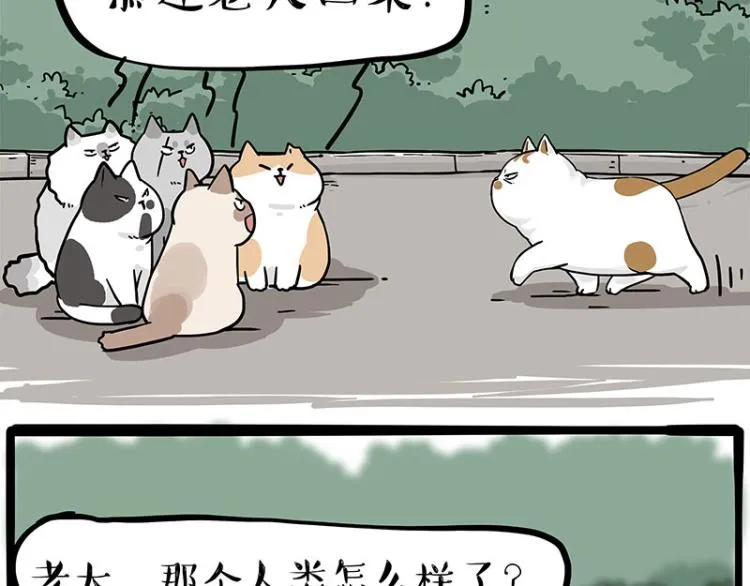 第290话 凶恶猫猫组织 第64页