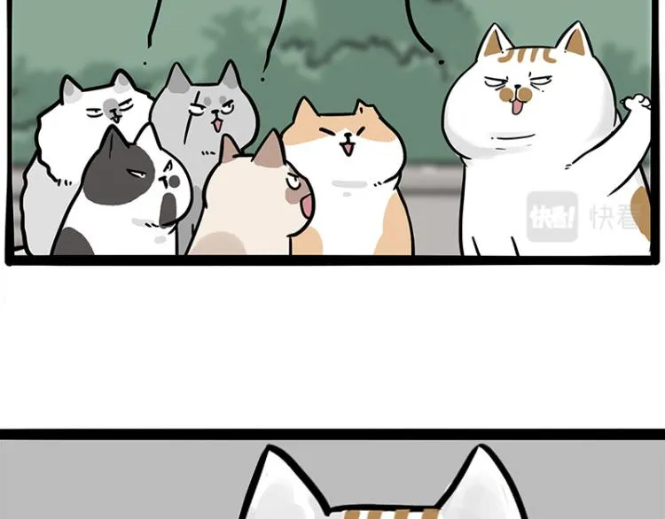 第290话 凶恶猫猫组织 第68页