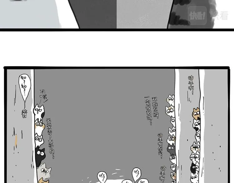 第291话 好兄弟，一辈子 第5页