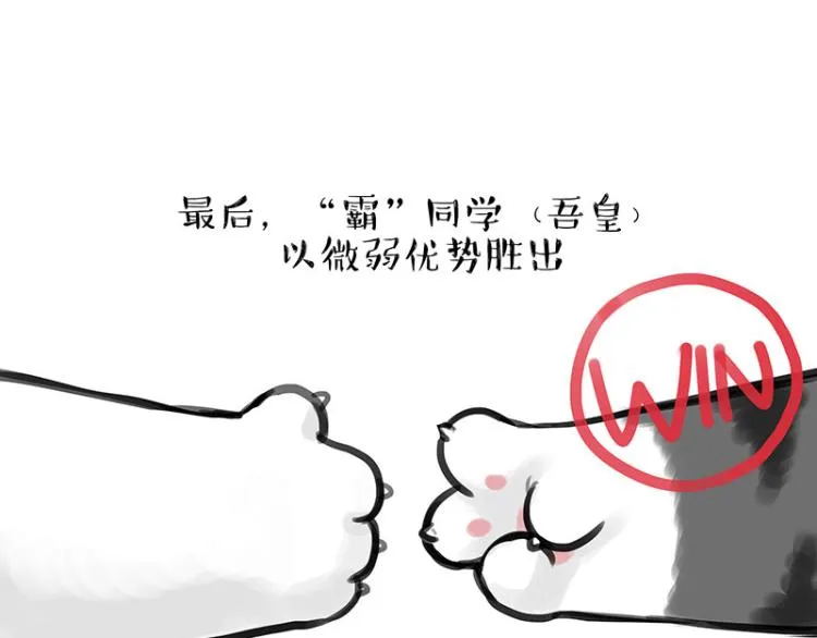 第291话 好兄弟，一辈子 第14页