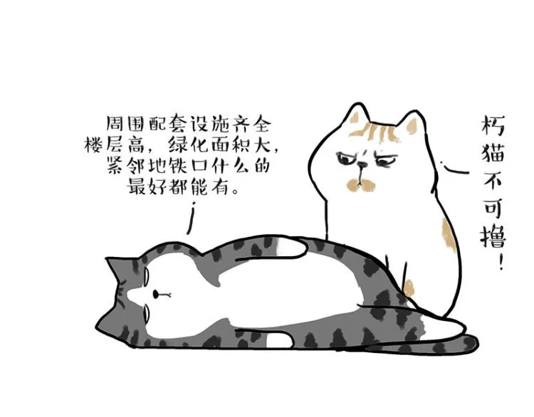 第291话 好兄弟，一辈子 第24页