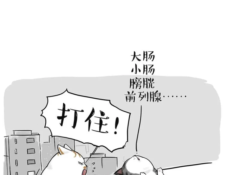 第291话 好兄弟，一辈子 第84页