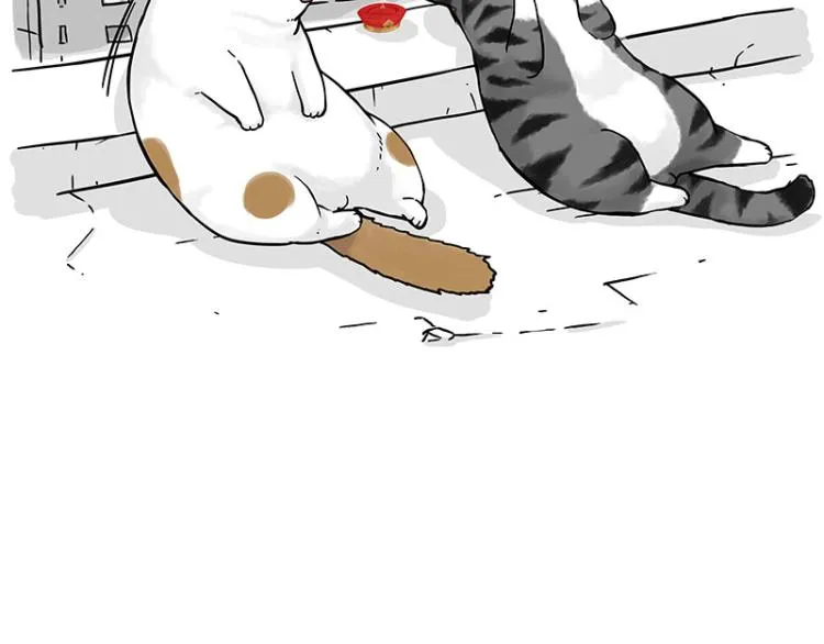 第291话 好兄弟，一辈子 第85页