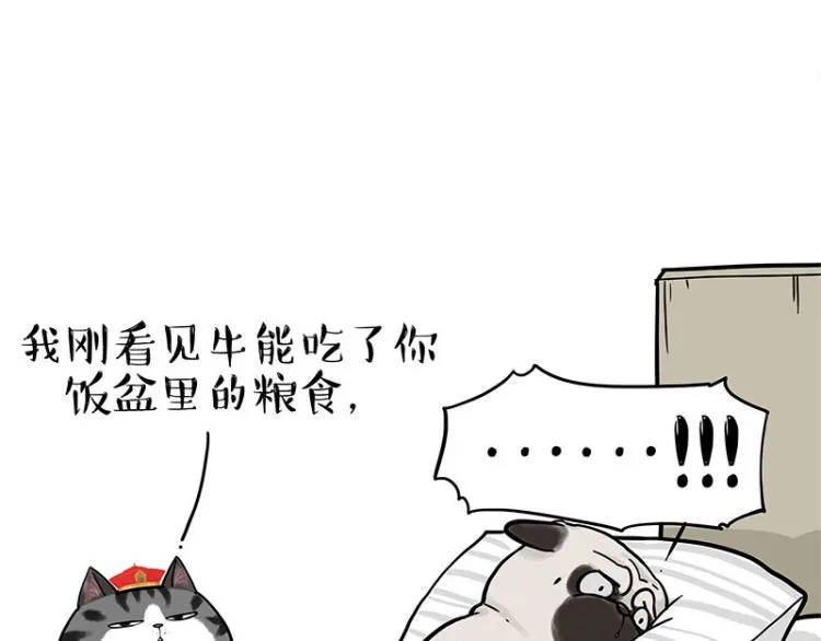 第292话 吐槽拯救世界 第44页