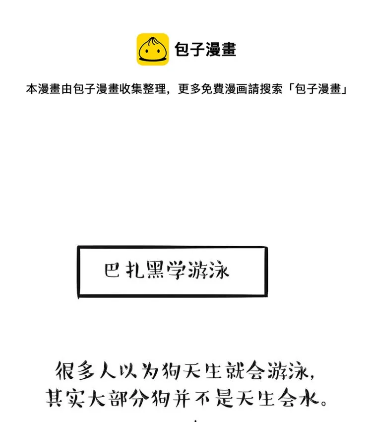 第294话 教狗游泳难度爆棚 第1页