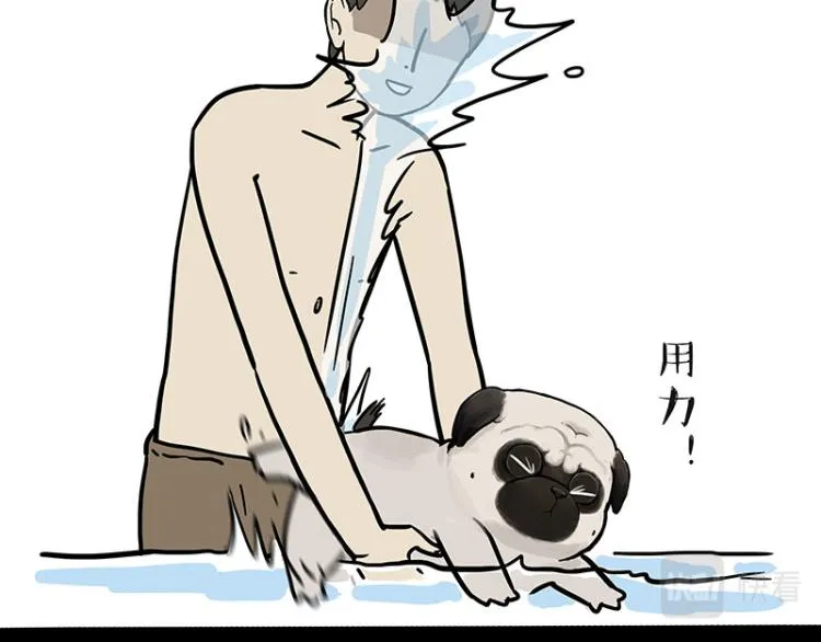 第294话 教狗游泳难度爆棚 第13页