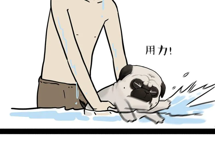 第294话 教狗游泳难度爆棚 第18页