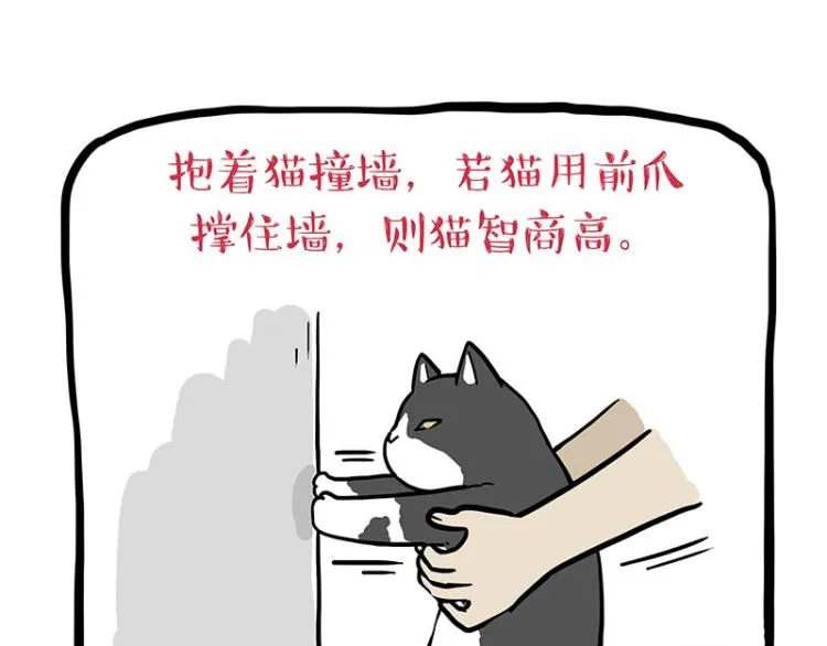 第294话 教狗游泳难度爆棚 第26页
