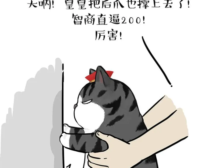 第294话 教狗游泳难度爆棚 第35页