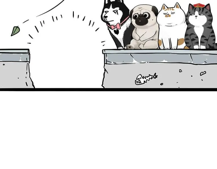 第294话 教狗游泳难度爆棚 第41页