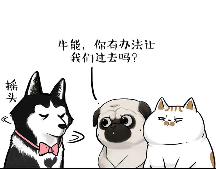 第294话 教狗游泳难度爆棚 第42页