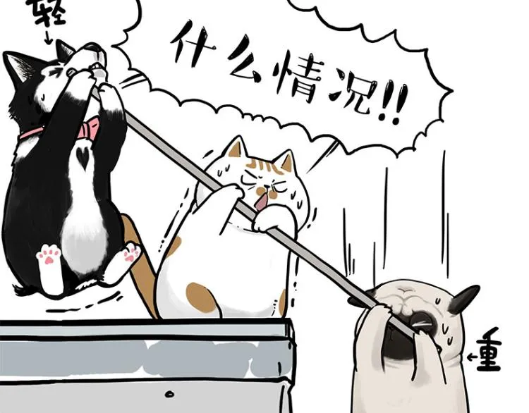 第294话 教狗游泳难度爆棚 第54页