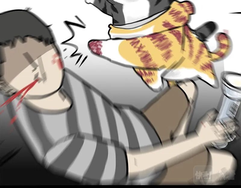 第296话 披着虎皮的猫 第11页