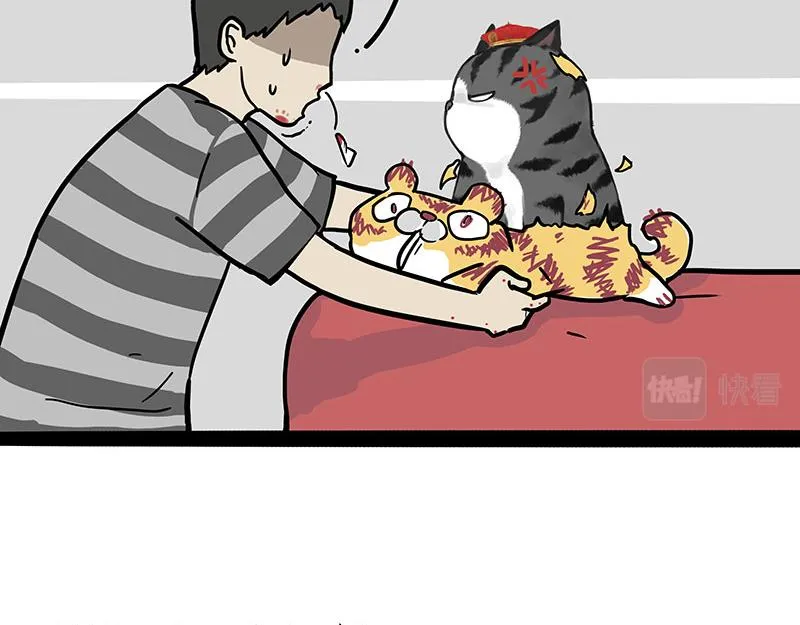 第296话 披着虎皮的猫 第32页