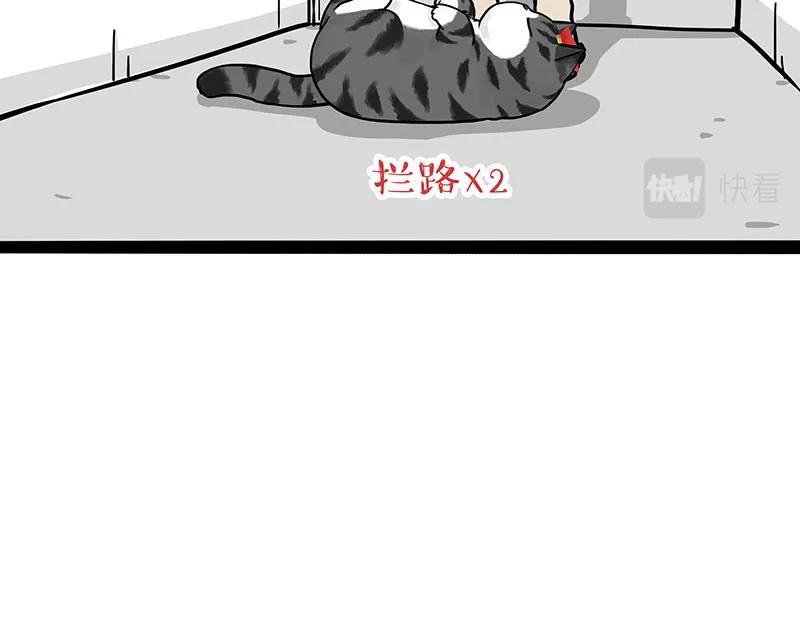 第297话 无处不在拦路猫 第5页