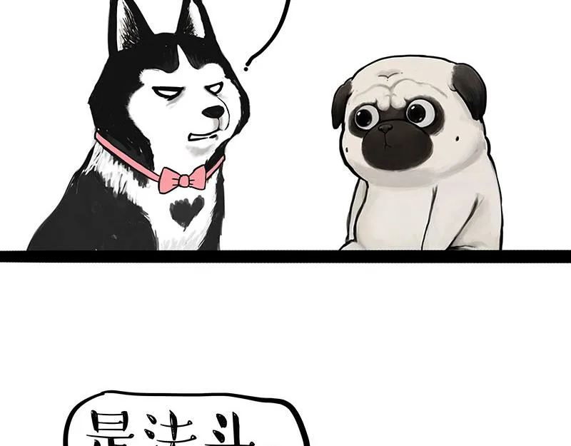 第297话 无处不在拦路猫 第13页