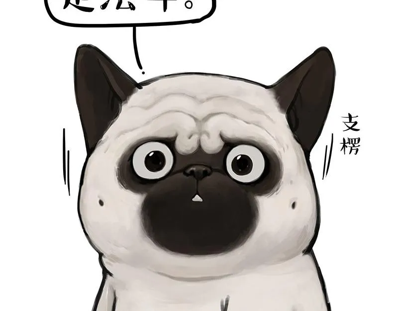 第297话 无处不在拦路猫 第14页