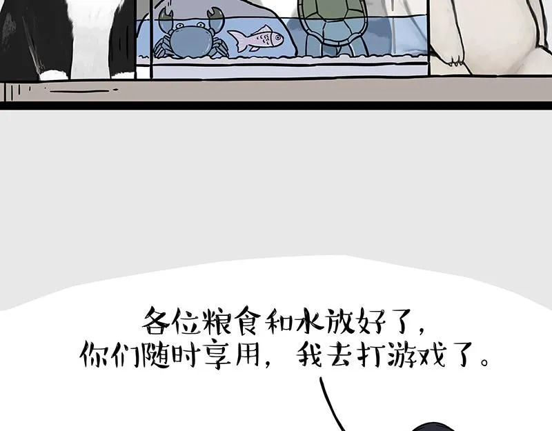 第298话 龟与狗与世界 第3页