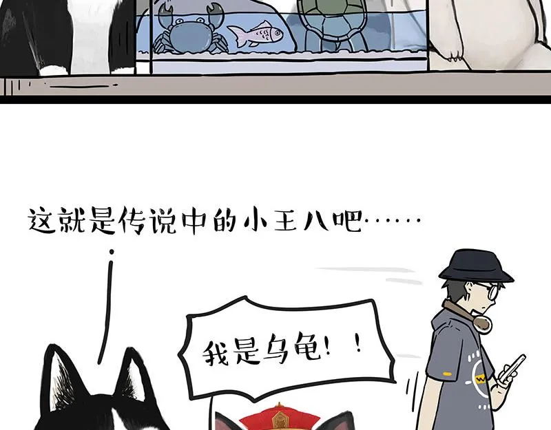 第298话 龟与狗与世界 第5页