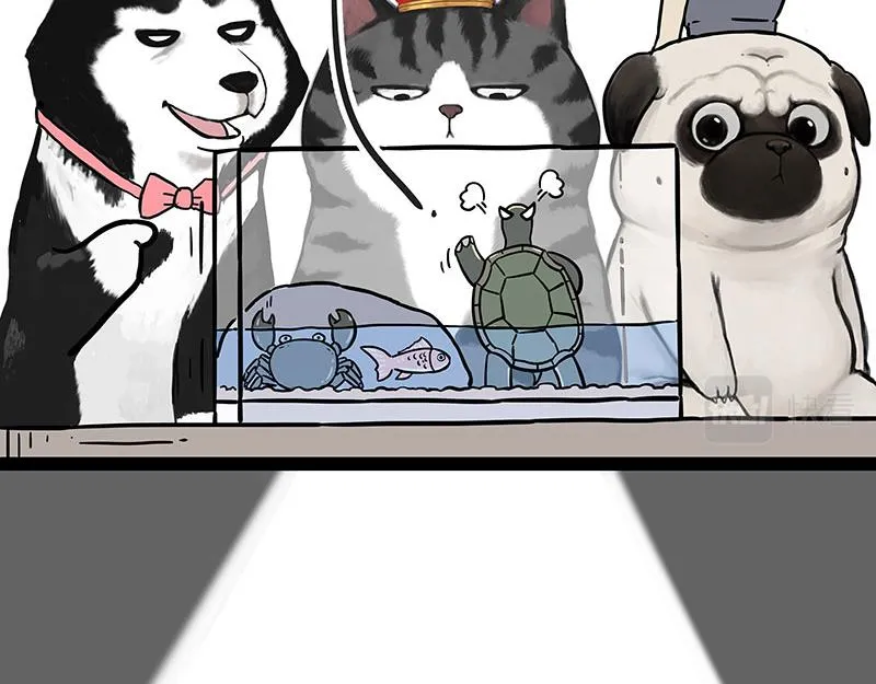 第298话 龟与狗与世界 第6页