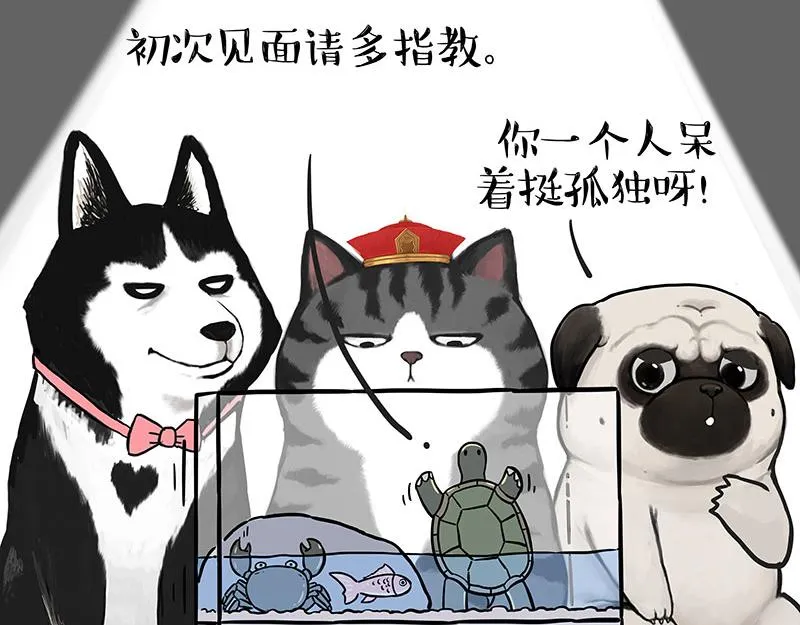 第298话 龟与狗与世界 第7页