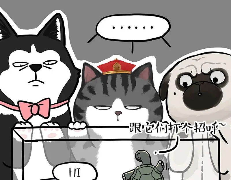 第298话 龟与狗与世界 第11页