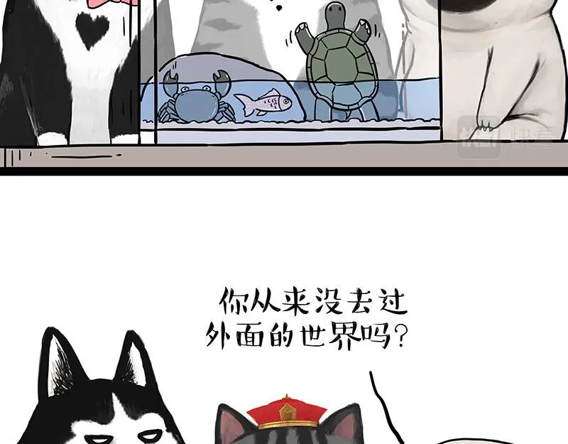 第298话 龟与狗与世界 第16页