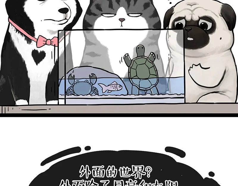 第298话 龟与狗与世界 第17页