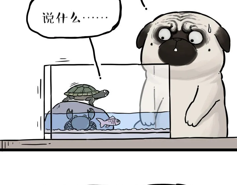 第298话 龟与狗与世界 第29页