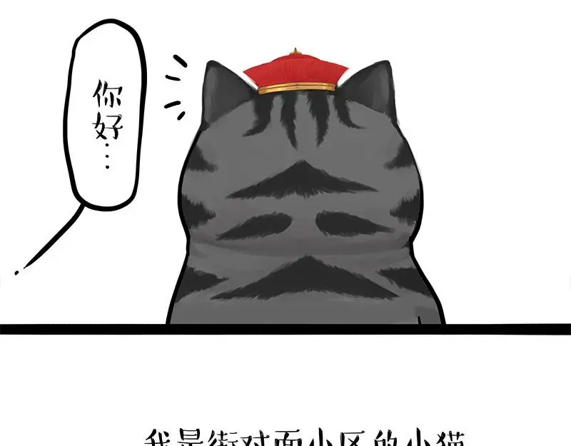 第323话 春日恋情？！ 第5页