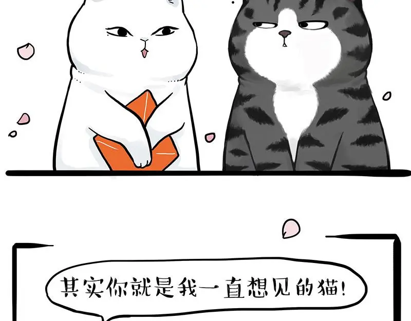 第323话 春日恋情？！ 第29页