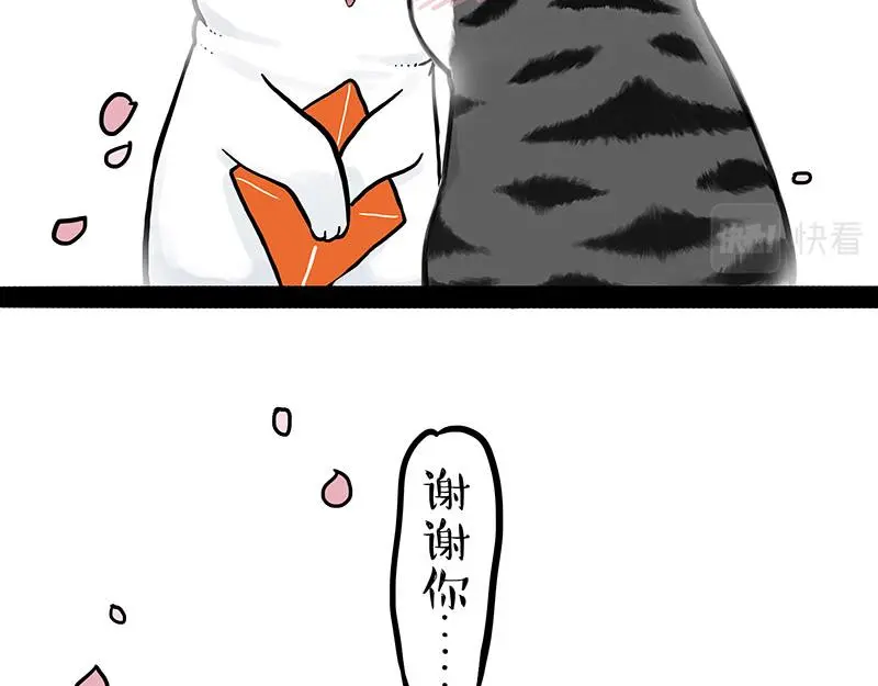 第323话 春日恋情？！ 第43页