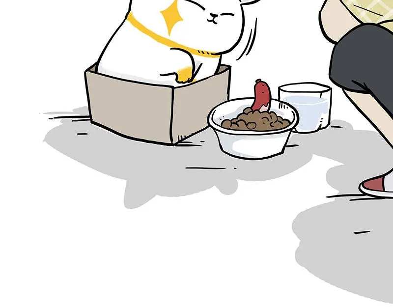 第332话 逆风翻盘 第5页