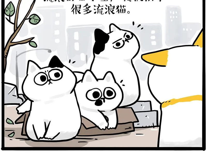 第332话 逆风翻盘 第8页