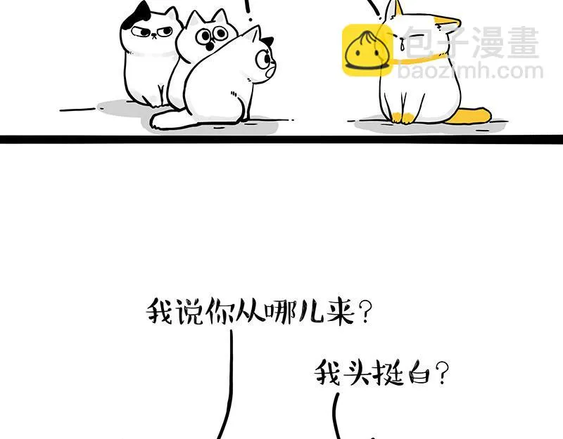 第332话 逆风翻盘 第10页