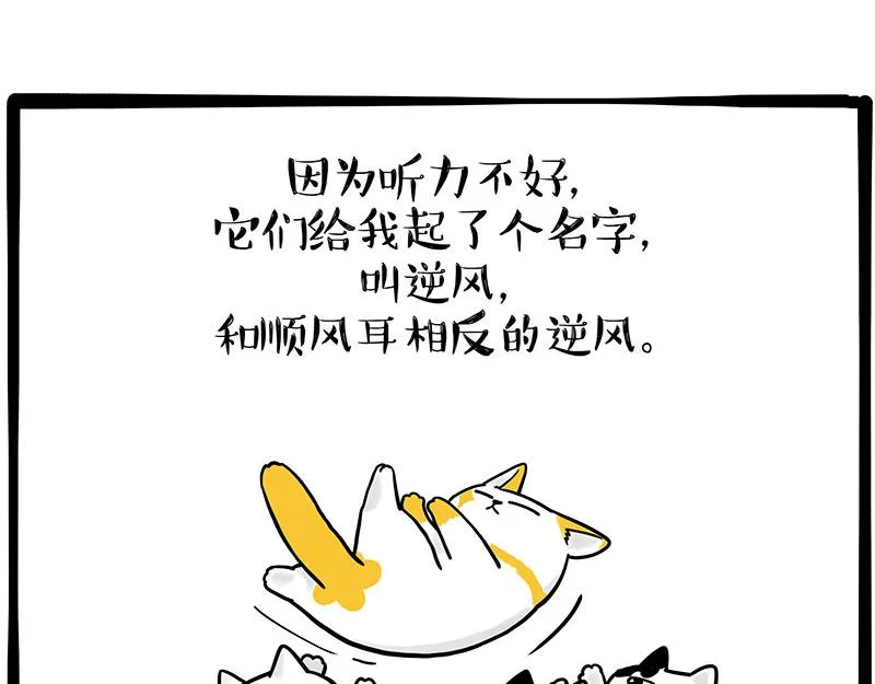 第332话 逆风翻盘 第50页