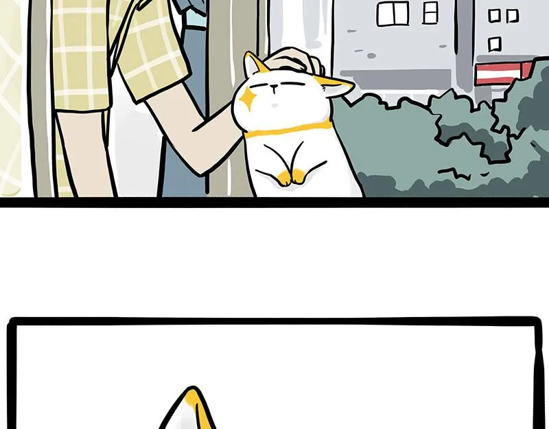 第332话 逆风翻盘 第61页
