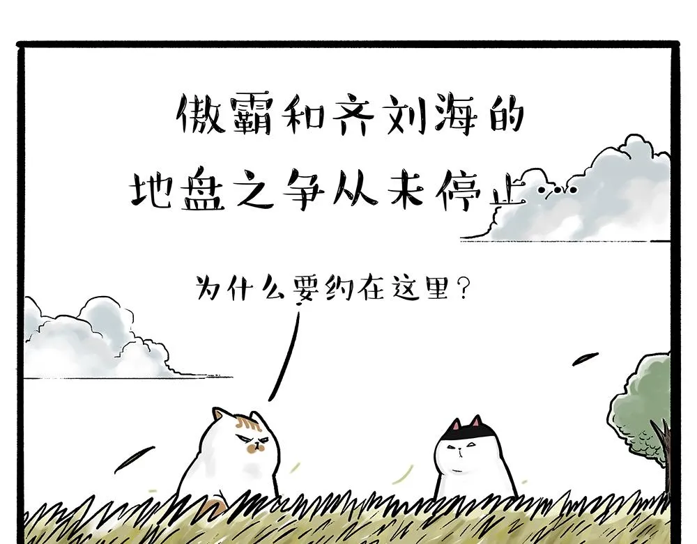 第331话 猫王争霸之“杀青” 第1页