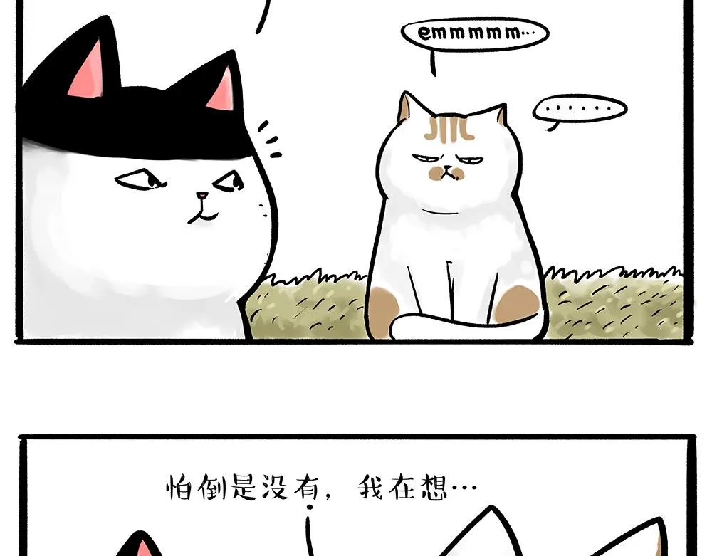 第331话 猫王争霸之“杀青” 第5页